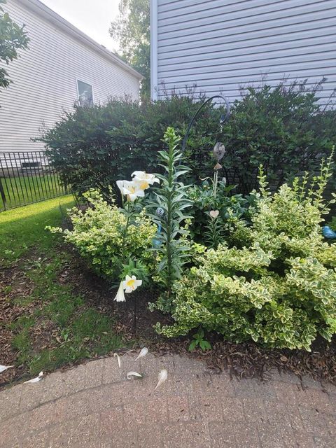 Tiny photo for 743 Chasewood Drive, South Elgin, IL 60177 (MLS # 12606897)