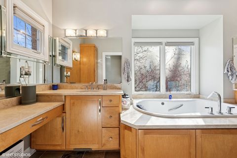 Tiny photo for Frankfort, IL 60423 (MLS # 12581865)