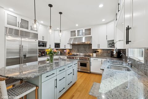 Tiny photo for Frankfort, IL 60423 (MLS # 12581865)