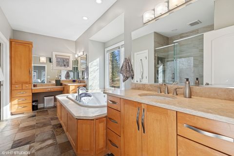 Tiny photo for Frankfort, IL 60423 (MLS # 12581865)