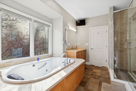 Tiny photo for Frankfort, IL 60423 (MLS # 12581865)