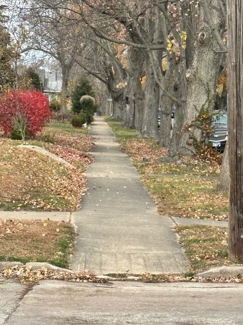 Tiny photo for 1003 S Poplar Avenue S, Kankakee, IL 60901 (MLS # 12520246)