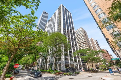 222 E PEARSON Street 2307 Chicago IL 60611