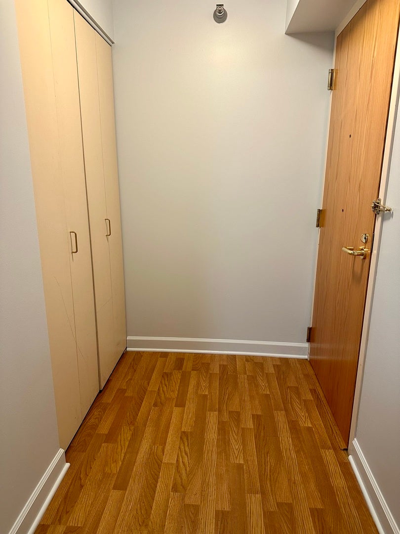 345 N LaSalle Street 805