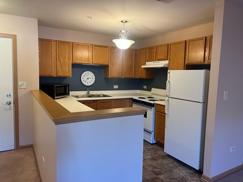 Tiny photo for 801 N Mclean Boulevard #226, Elgin, IL 60123 (MLS # 12491742)