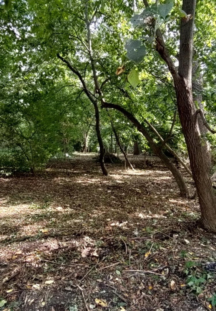 11 Rohrssen Lot 5 Road