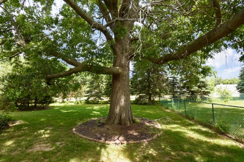 Tiny photo for 5096 Welsh Road, Rockford, IL 61107 (MLS # 12668241)