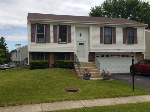 1020 Woodside Drive Roselle IL 60172