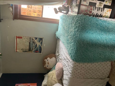 Tiny photo for 522 Anderson Boulevard, Geneva, IL 60134 (MLS # 12748880)