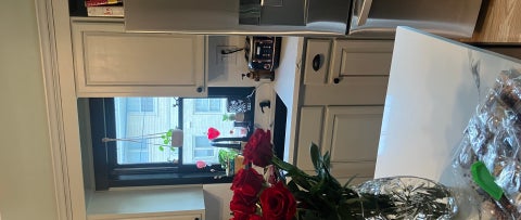 Tiny photo for 522 Anderson Boulevard, Geneva, IL 60134 (MLS # 12748880)