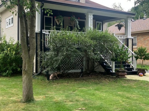 Tiny photo for 522 Anderson Boulevard, Geneva, IL 60134 (MLS # 12748880)