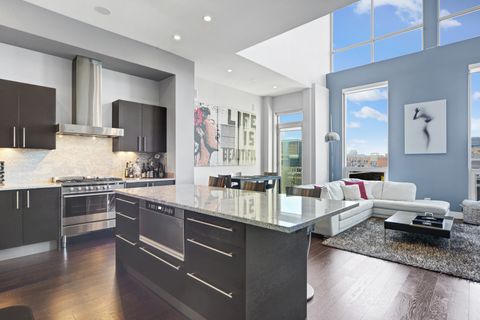 Tiny photo for Chicago, IL 60607 (MLS # 12584893)