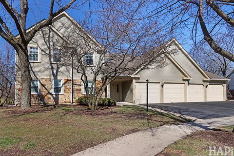 Tiny photo for 2404 Mallow Court #Z1, Schaumburg, IL 60194 (MLS # 12593055)