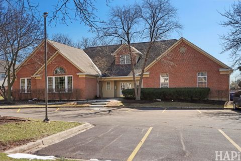 Tiny photo for 2404 Mallow Court #Z1, Schaumburg, IL 60194 (MLS # 12593055)