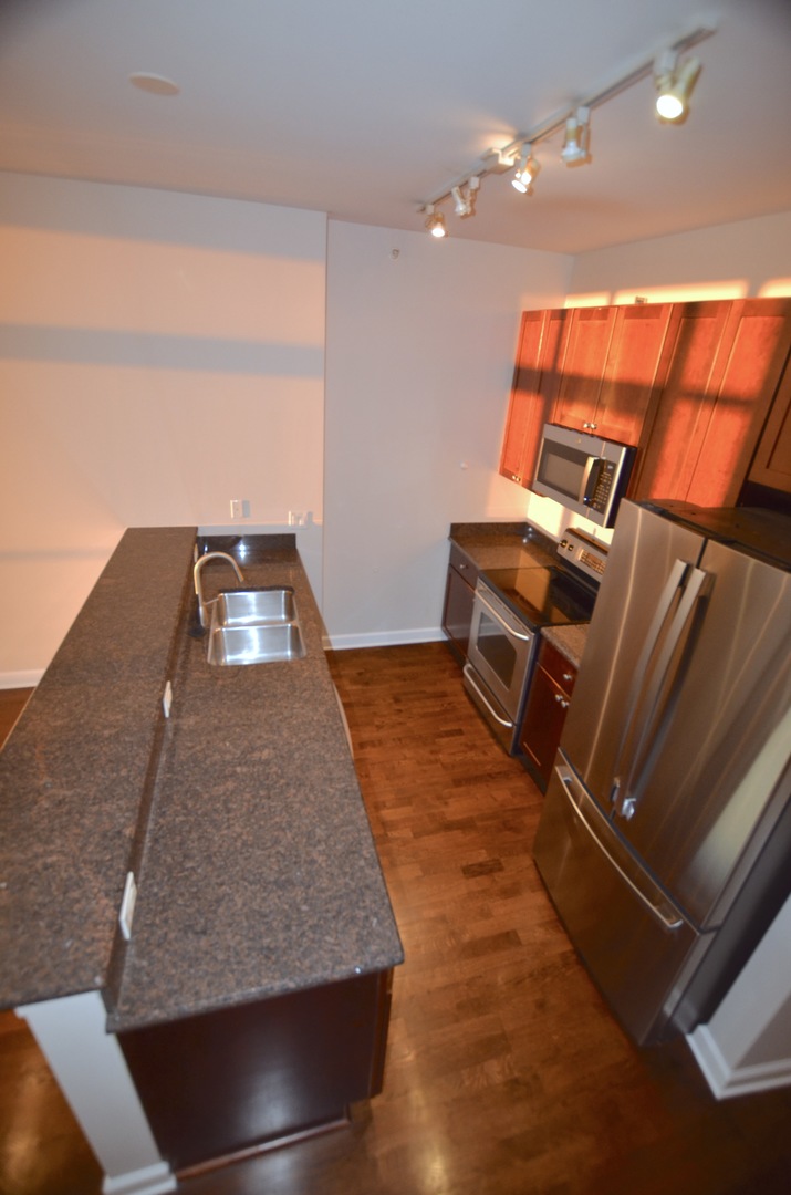 1235 S PRAIRIE Avenue 3206