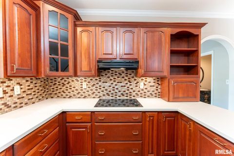 Tiny photo for 306 Arbor Dr Drive, Carterville, IL 62918 (MLS # EB459720)