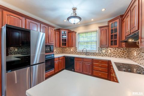 Tiny photo for 306 ARBOR Drive, Carterville, IL 62918 (MLS # EB459720)