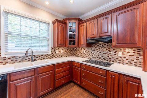 Tiny photo for 306 Arbor Dr Drive, Carterville, IL 62918 (MLS # EB459720)