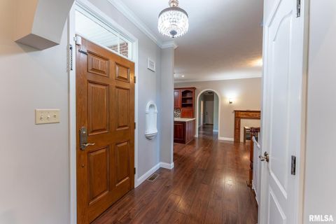 Tiny photo for 306 ARBOR Drive, Carterville, IL 62918 (MLS # EB459720)