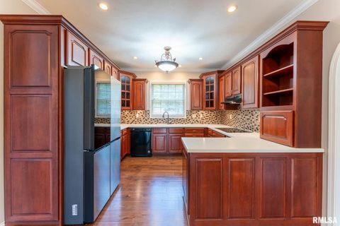 Tiny photo for 306 ARBOR Drive, Carterville, IL 62918 (MLS # EB459720)