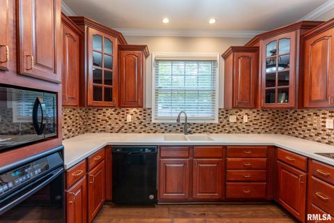 Tiny photo for 306 ARBOR Drive, Carterville, IL 62918 (MLS # EB459720)