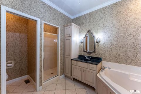 Tiny photo for 306 Arbor Dr Drive, Carterville, IL 62918 (MLS # EB459720)