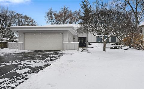 Photo of 425 W Gartner Road, Naperville, IL 60540 (MLS # 12527669)