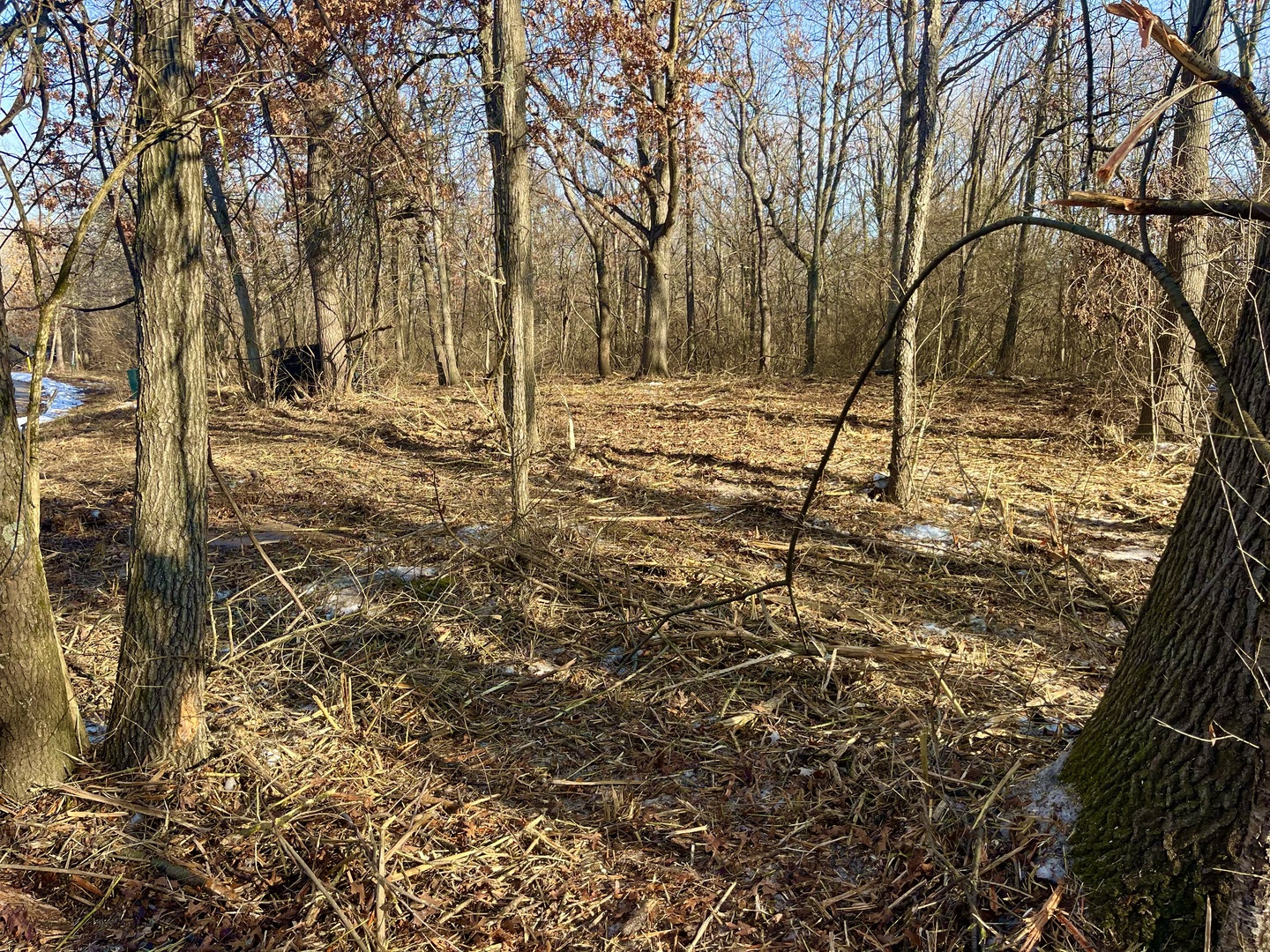 911 Echo (Lot 5) Trail