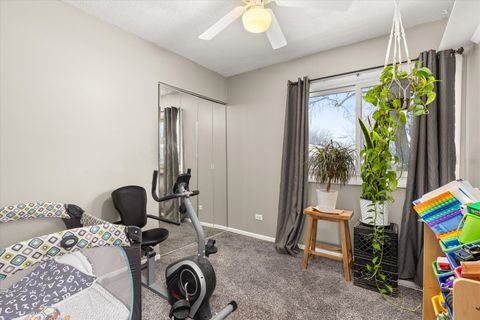 Tiny photo for 177 Shady Lane, Bolingbrook, IL 60440 (MLS # 12528921)