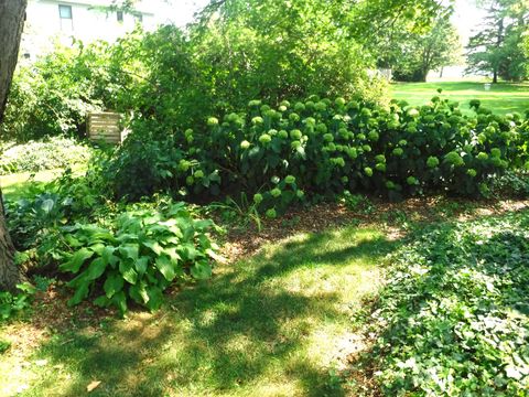 Tiny photo for 3007 Monterey Drive, Flossmoor, IL 60422 (MLS # 12500519)