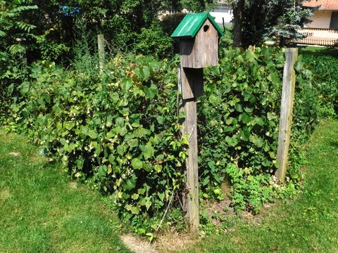 Tiny photo for 3007 Monterey Drive, Flossmoor, IL 60422 (MLS # 12500519)