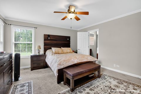 Tiny photo for 209 Geneva Lane, McHenry, IL 60051 (MLS # 12536064)