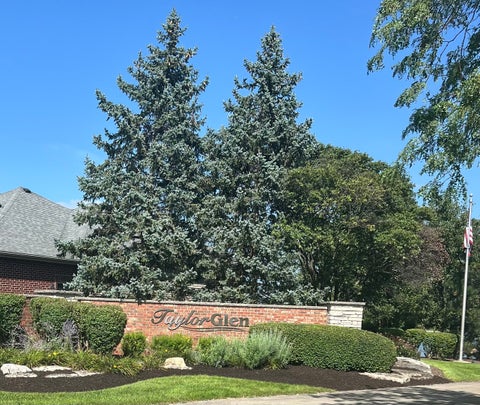Tiny photo for 2910 Ryan Drive, New Lenox, IL 60451 (MLS # 12737793)