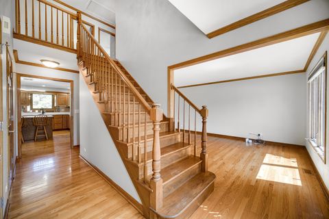 Tiny photo for 259 Wilcox Court, Bartlett, IL 60103 (MLS # 12450177)