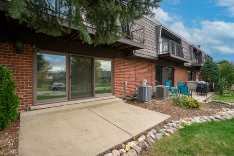 Tiny photo for 4 Cour La Salle Court, Palos Hills, IL 60465 (MLS # 12501955)