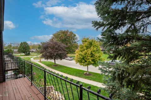 Tiny photo for 4 Cour La Salle Court, Palos Hills, IL 60465 (MLS # 12501955)