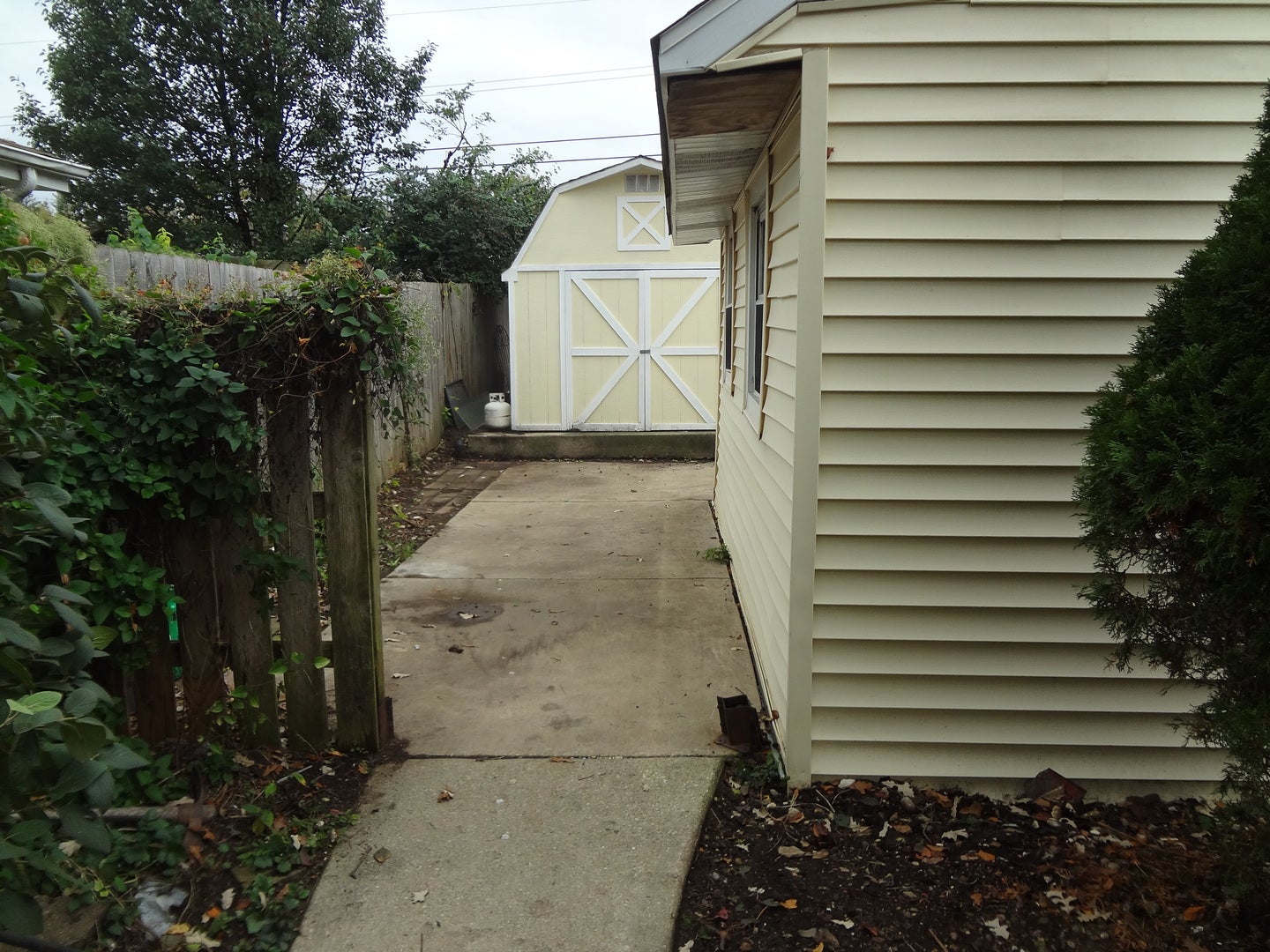 423 Blackhawk Avenue