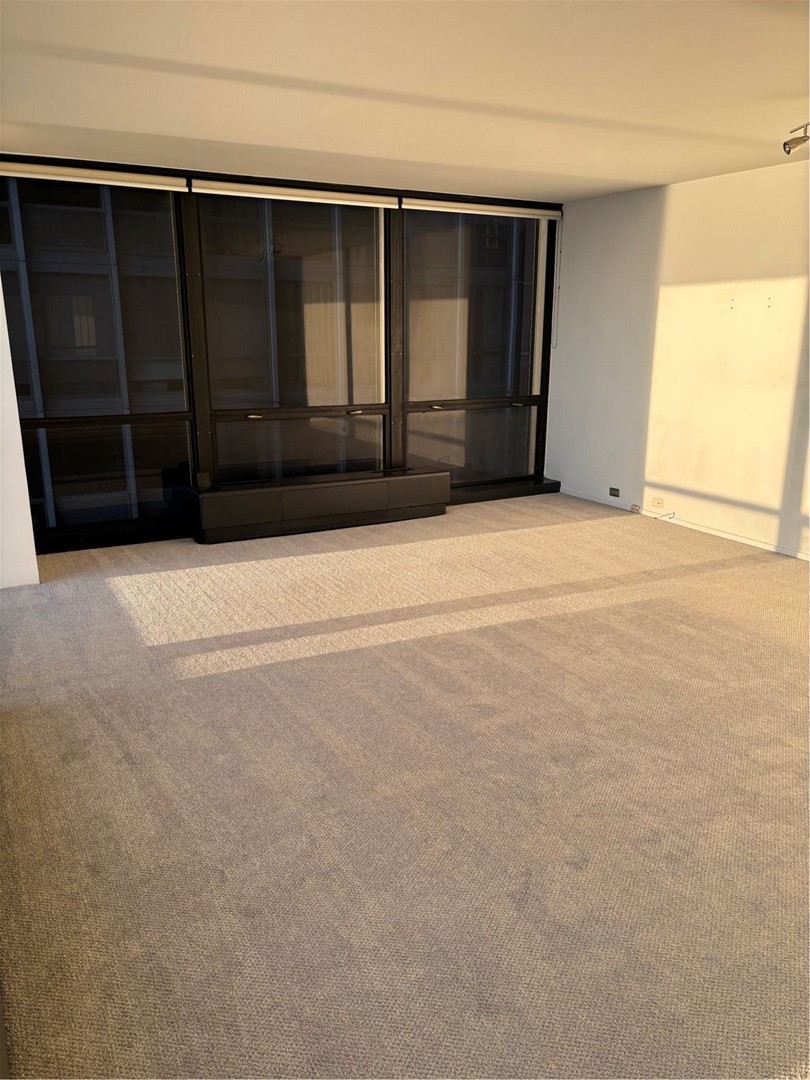910 N LAKE SHORE Drive 715