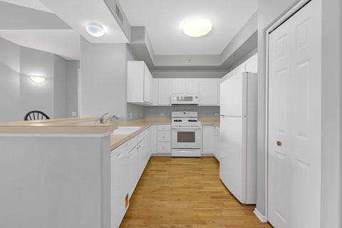 Tiny photo for 1731 Pavilion Way #505, Park Ridge, IL 60068 (MLS # 12755513)