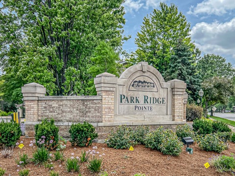 Tiny photo for 1731 Pavilion Way #505, Park Ridge, IL 60068 (MLS # 12755513)