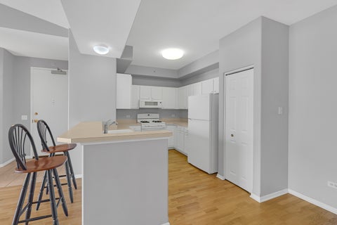 Tiny photo for 1731 Pavilion Way #505, Park Ridge, IL 60068 (MLS # 12755513)