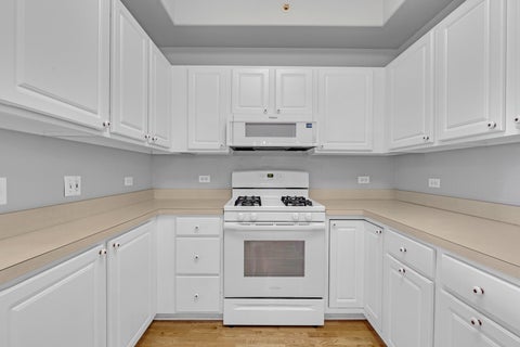 Tiny photo for 1731 Pavilion Way #505, Park Ridge, IL 60068 (MLS # 12755513)