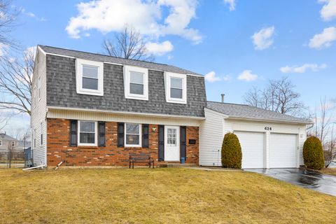 Photo of 424 N Salem Drive, Schaumburg, IL 60194 (MLS # 12583546)