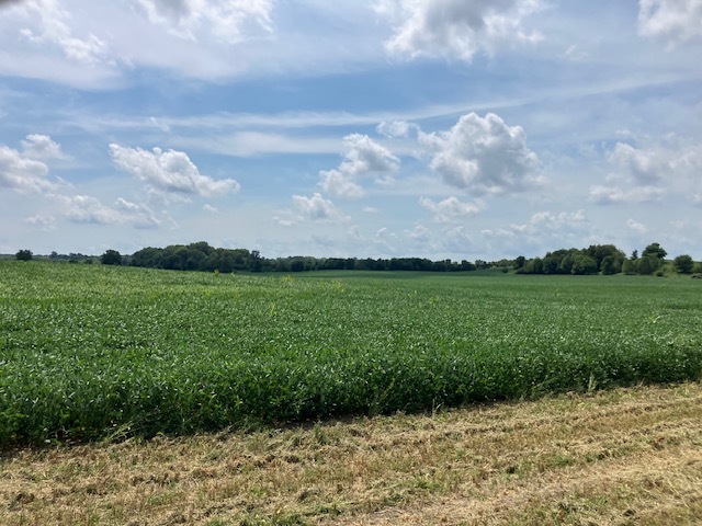 14651 1200 East Street