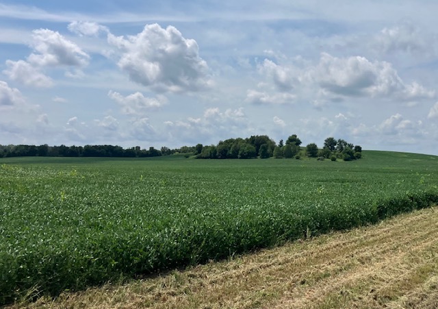 14651 1200 East Street