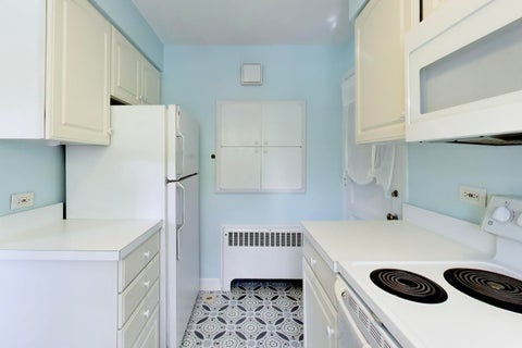 Tiny photo for 4 N Home Avenue #1W, Park Ridge, IL 60068 (MLS # 12793039)