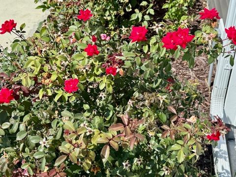 Tiny photo for 709 N Abbey Road, Urbana, IL 61802 (MLS # 12459244)