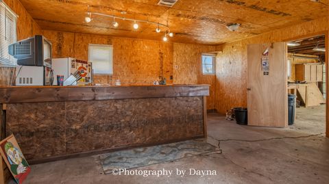 Tiny photo for 209 E Lafayette Street, Ashkum, IL 60911 (MLS # 12604088)