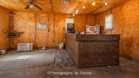 Tiny photo for 209 E Lafayette Street, Ashkum, IL 60911 (MLS # 12604088)