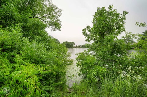 Tiny photo for 9 Wake Robin Court, Woodridge, IL 60517 (MLS # 12598448)